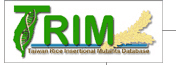 TRIM title1